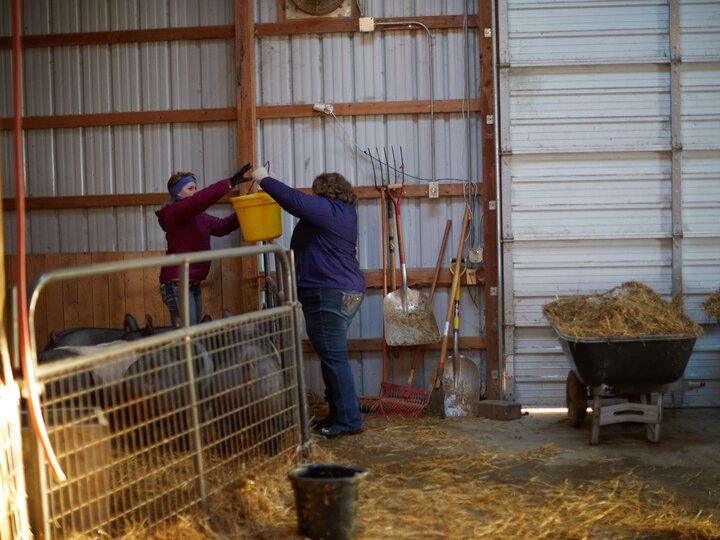 Adult helping 4-H youth care for animals.